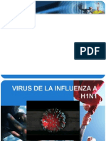 Presentacion Influenza Centro Medico Ambo