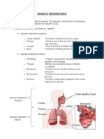 Aparato Respiratorio
