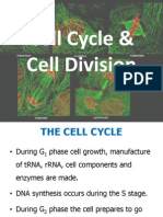 CH 8 - Cell Reproduction - 3 PDF