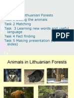 Animals in Our Forests