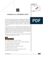22_Company - An Introduction (191 KB).pdf