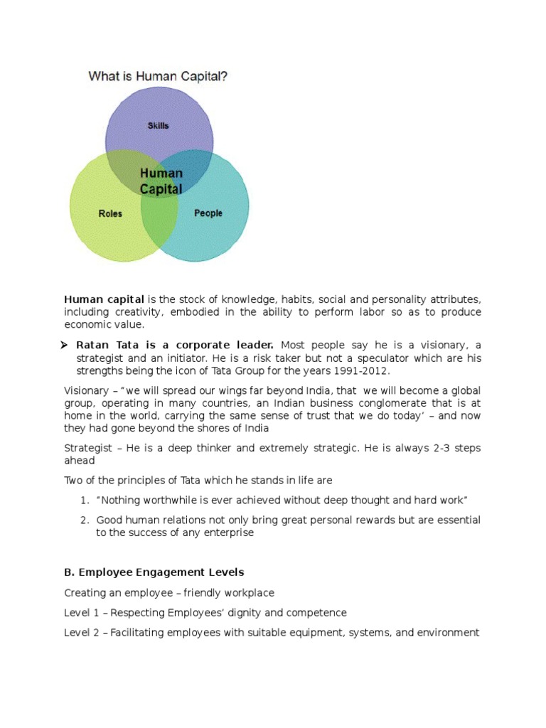 Human Capital Is The Stock Of Knowledge Habits Social And Personality