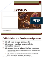 Cell Division