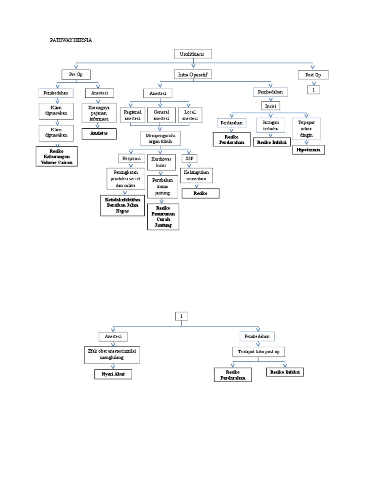 Pathway Ok | PDF | Kesehatan Holistik