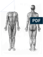 Acupuncture-Point-Chart.pdf