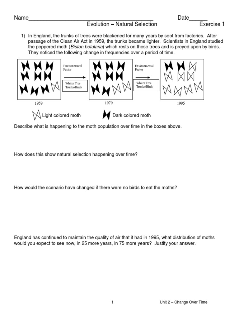 Natural Selection Worksheet Understanding Natural Selection How