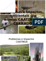 Caatinga