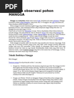 Download Laporan Observasi Pohon MANGGA by Dhani Bigdhan Ferguson SN281124653 doc pdf