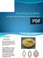 Excretory PDF