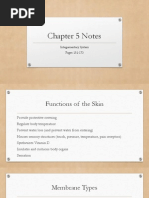 chapter 5 notes- schmekel