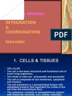 Basic Cell Process Ok