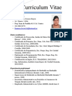 Curriculum Vitae Sencillo