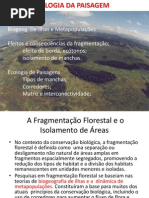 Efeitos e Consequências Da Fragmentação