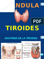 Tiroides