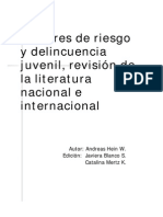 Factores de Riesgo Delicuencia Juvenil