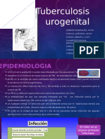 TBC Urogenital