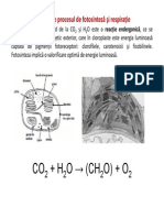 Microsoft PowerPoint - Respiratia La Plante 2014