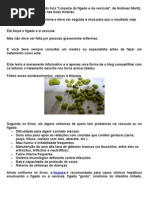 Limpeza Do Fígado e Da Vesícula