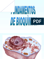 FUNDAMENTOS DE BIOQUIMICA