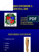 MIEMBROINFERIORI  MEDICINA2009