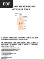 o Sistema Endócrino Na Atividade Física