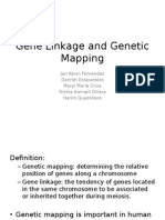 Gene Linkage and Genetic Mapping