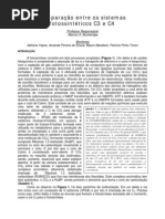 Pratica fotossintese