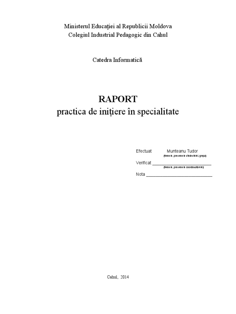Raport Practica Informatica | PDF