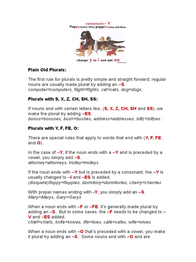 Common Plural Forms