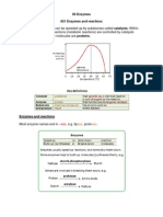 03 Enzymes Biology Notes IGCSE 2014.pdf