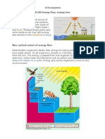 14 Ecosystem Biology Notes IGCSE 2014 (1).pdf