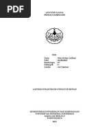 Download Laporan Anatomi Kadal by Dian Krisna Arifiani SN281336580 doc pdf