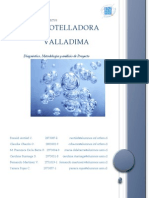 Evaluación de Proyectos - Informe 1 Del Proyecto - Agua Mineral