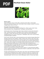 Download manfaat daun kelor by Tri Firmansyah SN281342877 doc pdf