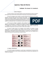 mangueras_chorros.pdf