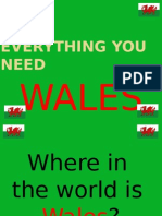 Everything You Need To Know About... : Wales