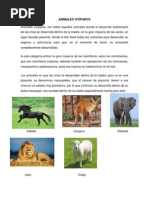 Animales Vivíparos