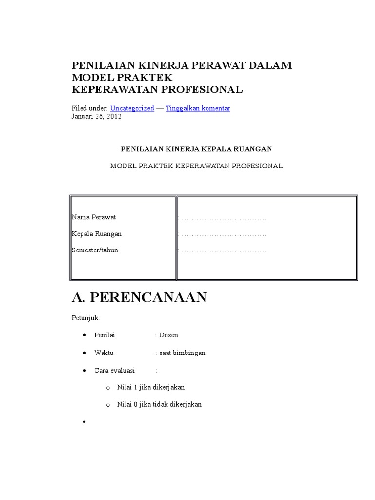 Penilaian Kinerja Perawat Dalam Model Praktek Keperawatan