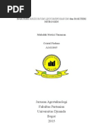 Download Bakteri Rhizobium Leguminosarum Dan Bakteri Nitrogen by Cristal Firdaus SN281406887 doc pdf