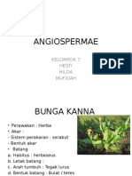 ANGIOSPERMAE