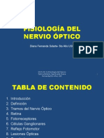 Fisiología Del Nervio Óptico