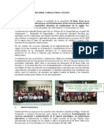 Informe Consultoria Cedapp.doc.Vf.ultimo (1)