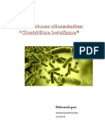 Intoxicaciones Alimentarias PDF