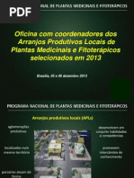 Apresentacao Ms Arranjos Produtivos Locais Apl 2013 Sem Marca