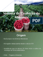Morango- fruticultura
