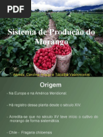 Morango- fruticultura