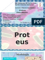 Proteus y Enterobacter