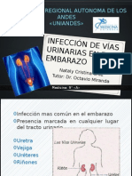Infección de Vías Urinarias en El Embarazo: Universidad Regional Autonoma de Los Andes Uniandes