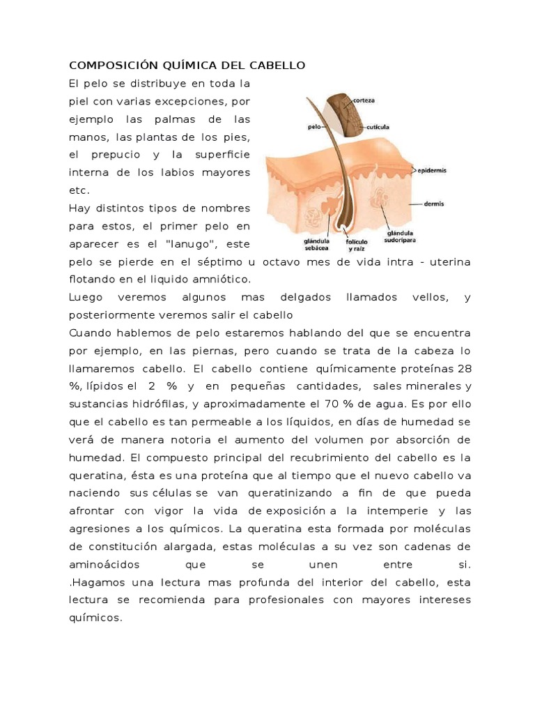 Composición Química del Cabello | PDF | Pelo | Proteínas