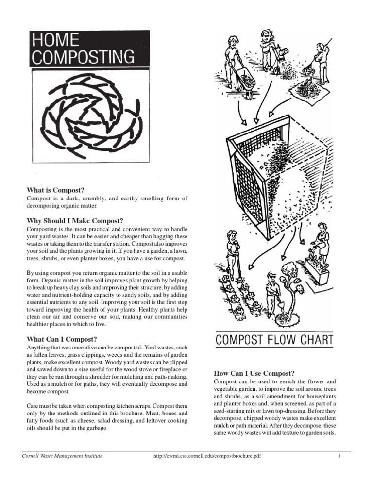 What Is Compost?: Cornell Waste Management Institute 1 | PDF